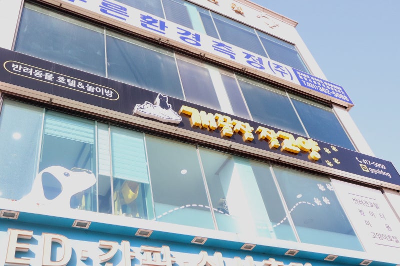 사진 4