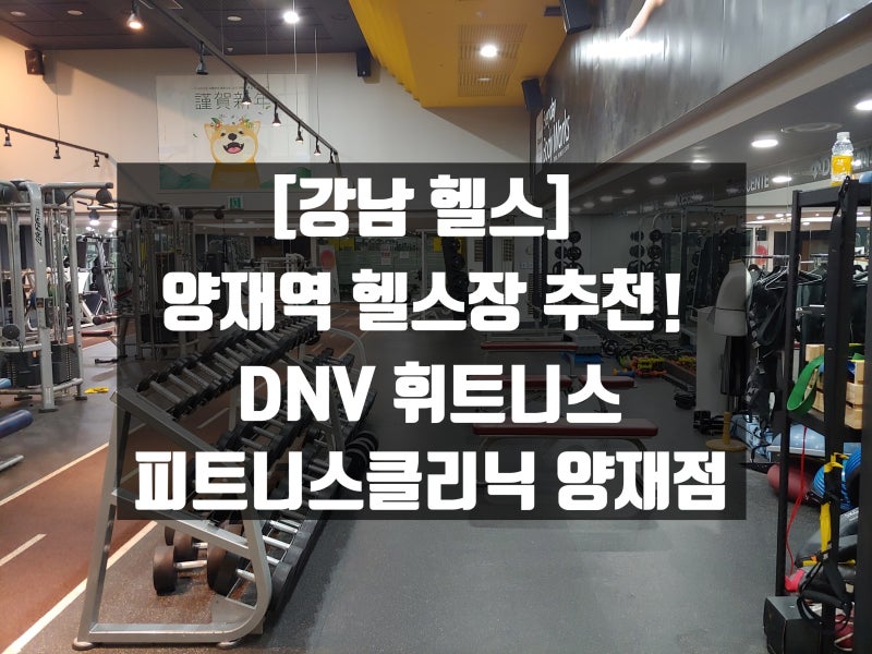 양재역 헬스장 추천, 피트니스 리저브 뱅뱅사거리 PT 리뷰