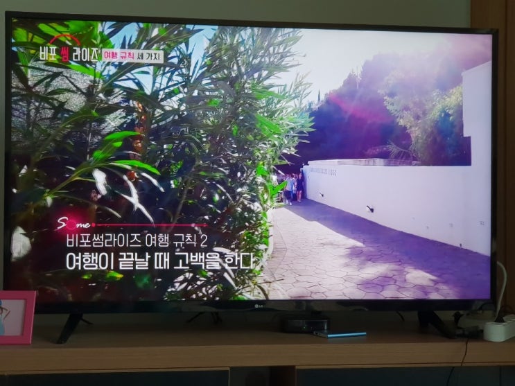  비포썸라이즈 직업 : 하트시그널 시즌3?  비슷한 프로그램