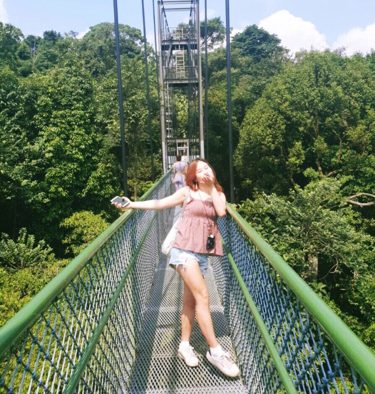  싱가포르 산책길/ntu에서 꼭 가야할 곳: 트리탑(tree top)#11