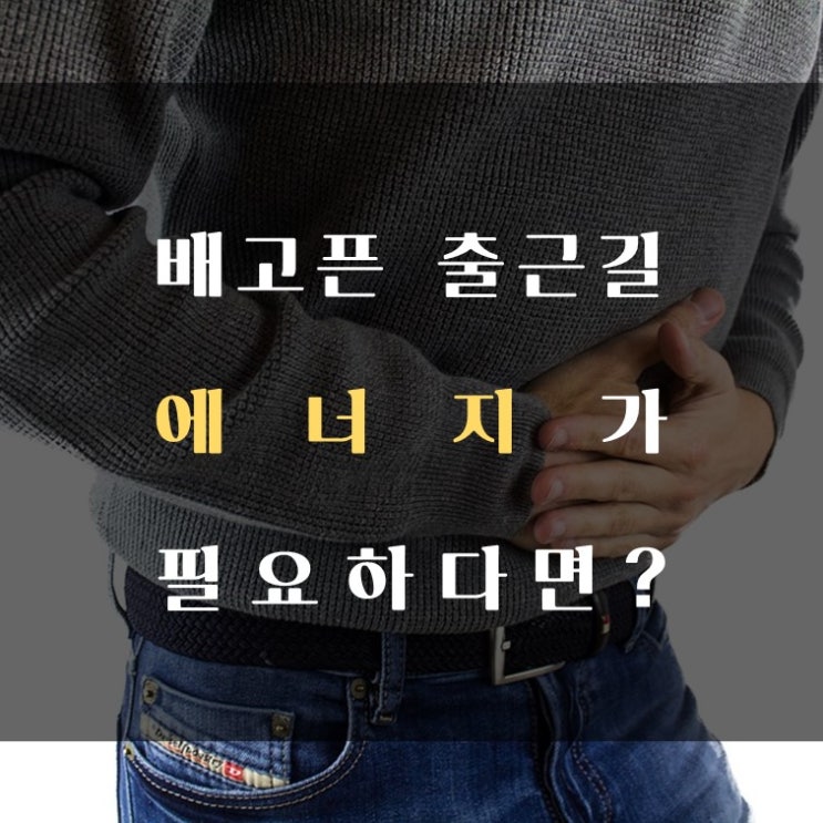  배고픈 출근길, 에너지가 필요한가요? "밥플"과 함께라면 든든한 출근길 보장!