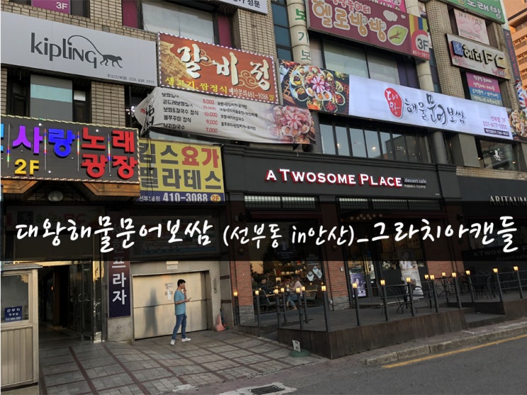  [맛집27탄] 안산맛집 대왕해물문어보쌈(in선부동)_그라치아캔들