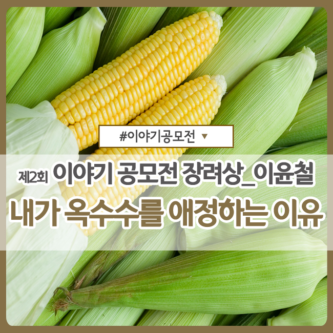  내가 옥수수를 애정하는 이유 - 이윤철 [제2회 추억의 우리 농산물 이야기 공모전 - '장려상']