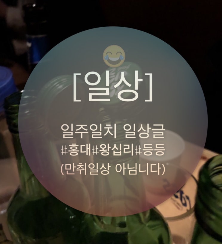  [일상] 간만에 지난 솜이의 일상들:)