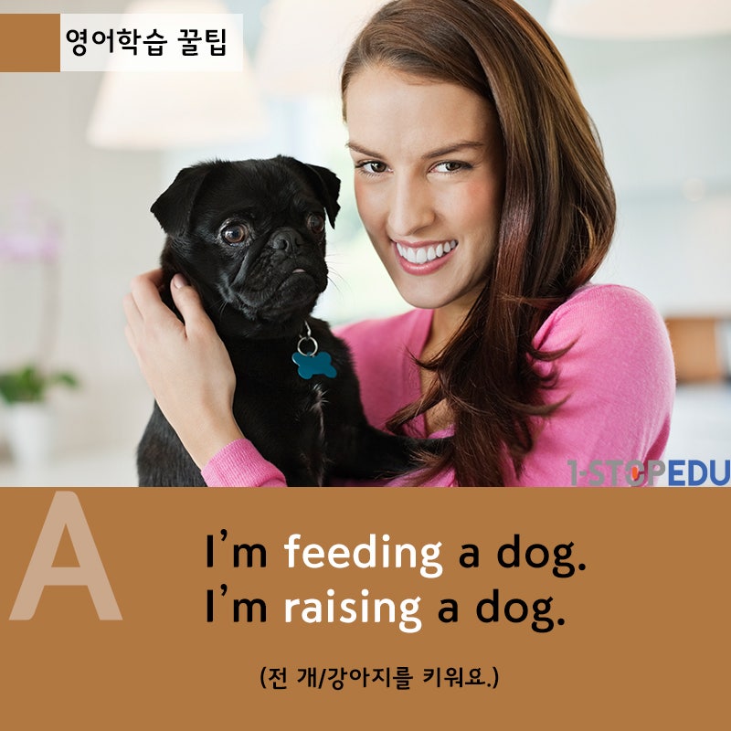 강아지, 개를 표현하는 영어 단어들 : 네이버 블로그 강아지, 개를 표현하는 영어 단어들 : 네이버 블로그
