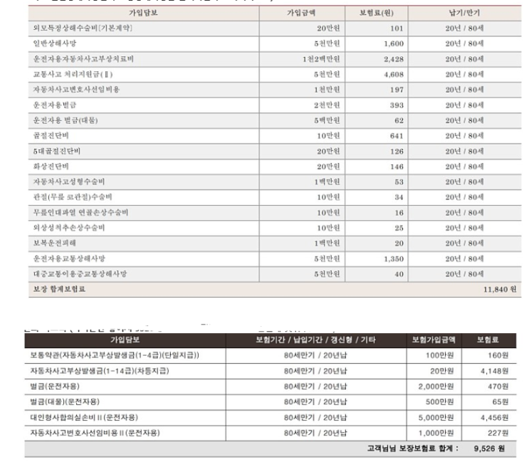  한화 차도리운전자보험, 메리츠 운전자보험 어느것을 가입할지요?