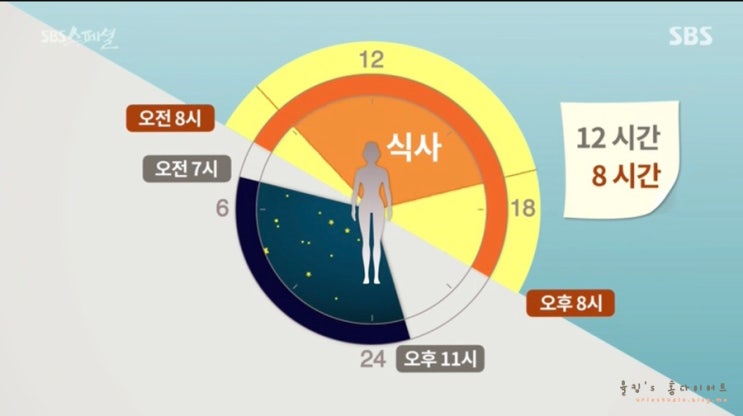  간헐적단식/ 끼니반란/ FMD식단/ 단식모방식단/ 케톤/ 먹는 단식
