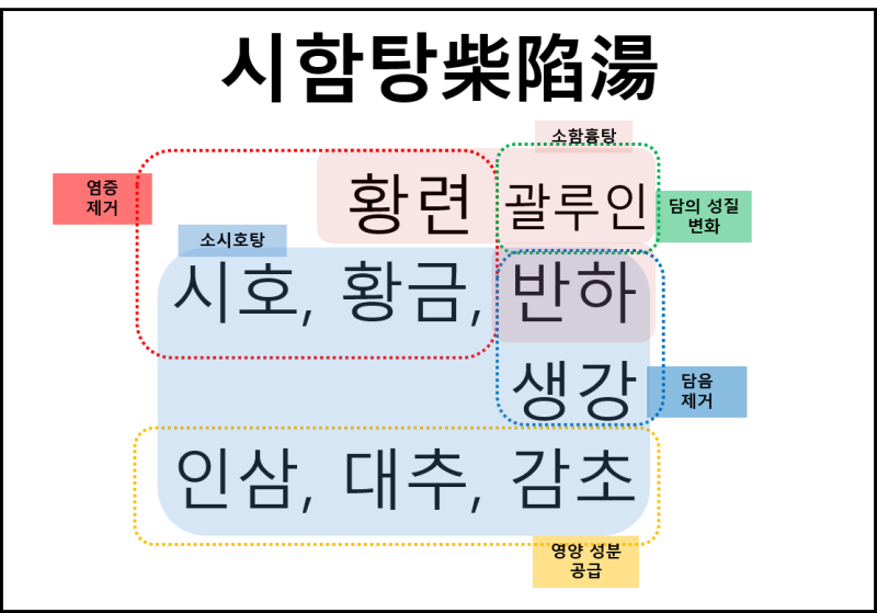 한약제제 셀프메디케이션 16 - 편도염, 인후염, 기관지염 등으로 노란 가래, 기침, 가슴 통증 등이 있을 때 시함탄.