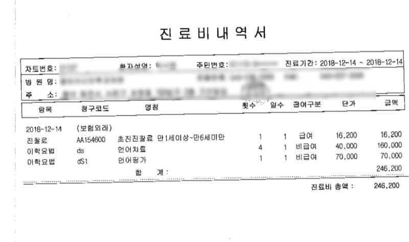 43개월 언어 발달 시험(MacArthur Bates 시험), 언어 평가 비용, 언어 치료, 심리 치료, 실제 보험 청구 요약 10