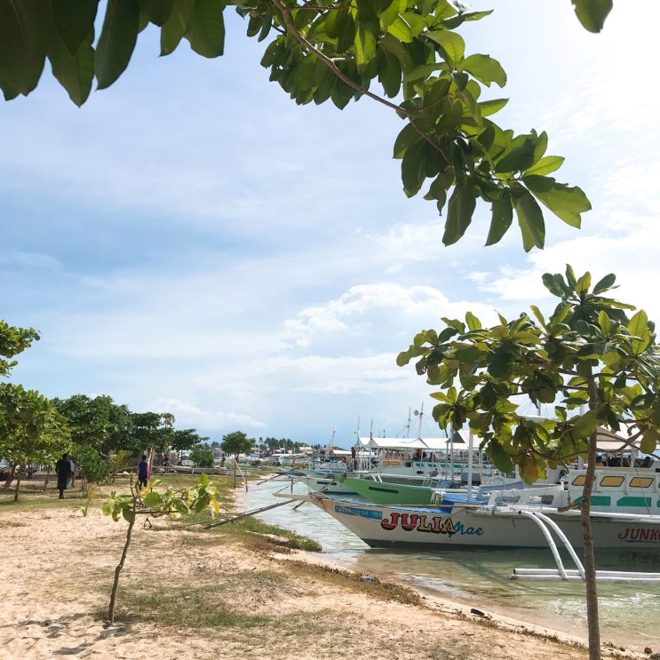  [Day3] 2018.06.15~18 CEBU