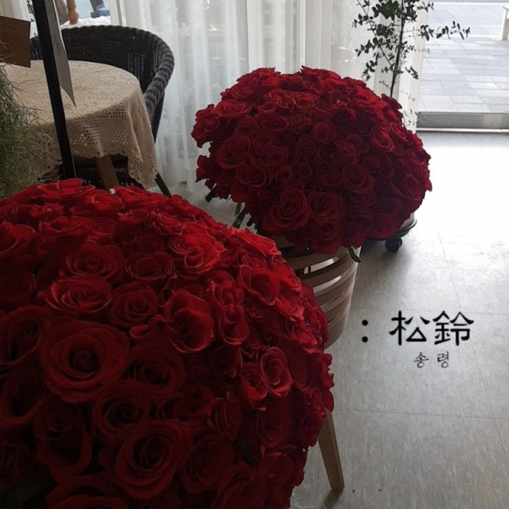  플라워앤가든 송령 본점 / 의정부꽃집/녹양동꽃집/가능동꽃집/양주꽃집 / 의정부조경 /조경전문