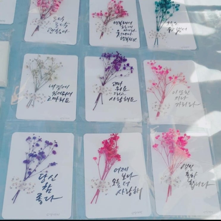  드라이플라워 캘리그라피 엽서