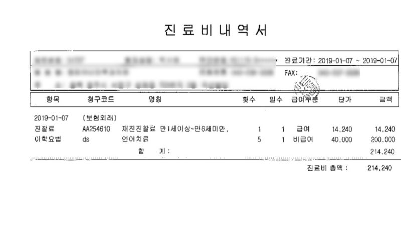 43개월 언어 발달 시험(MacArthur Bates 시험), 언어 평가 비용, 언어 치료, 심리 치료, 실제 보험 청구 요약 5