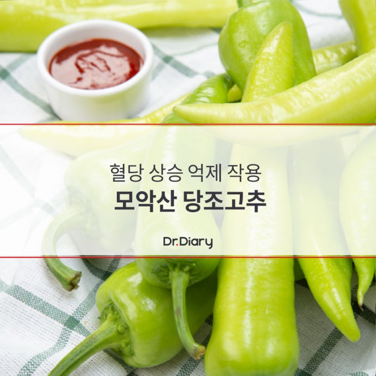  혈당 상승 억제 작용을 하는 모악산 '당조 고추'