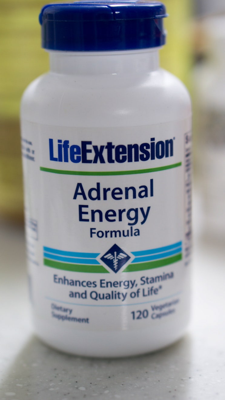  Life Extension Adrenal Energy Formula 복용 후기