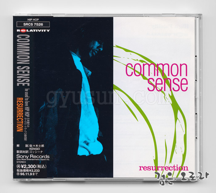  Common Sense - Resurrection (Japanese Edition)