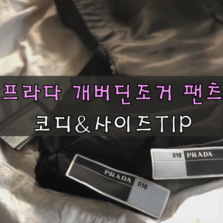  프라다 개버딘 조거팬츠 코디&사이즈Tip