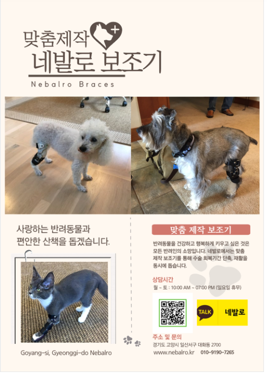  반려견 맞춤제작 네발로 보조기