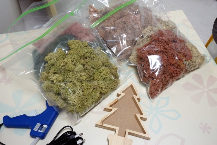  습기먹는 식물 스칸디아모스 이끼 액자 만들었어요