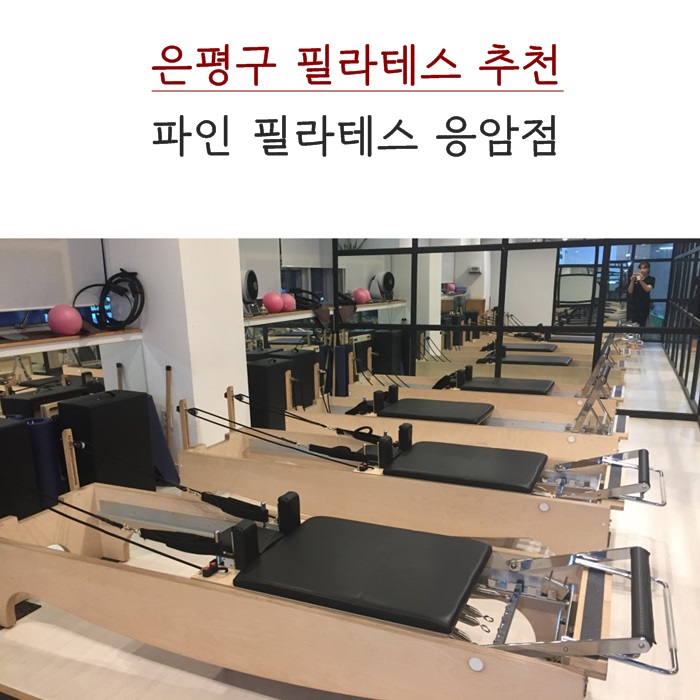  응암필라테스. 파인 필라테스 다양한 기구로 재밌게 운동중