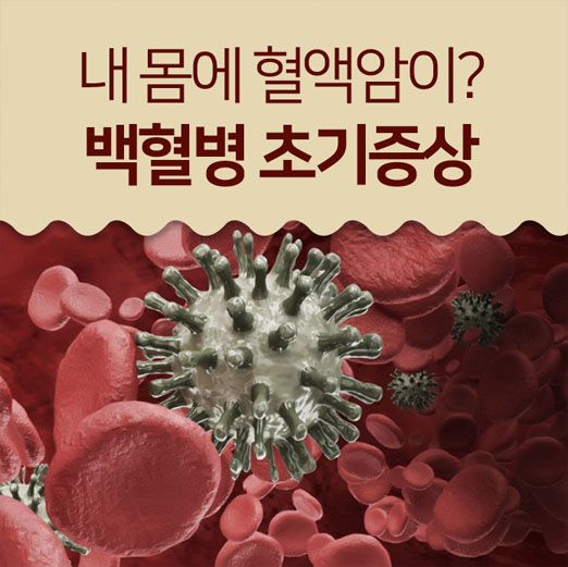  백혈병 초기증상 이제 걱정은 끝!