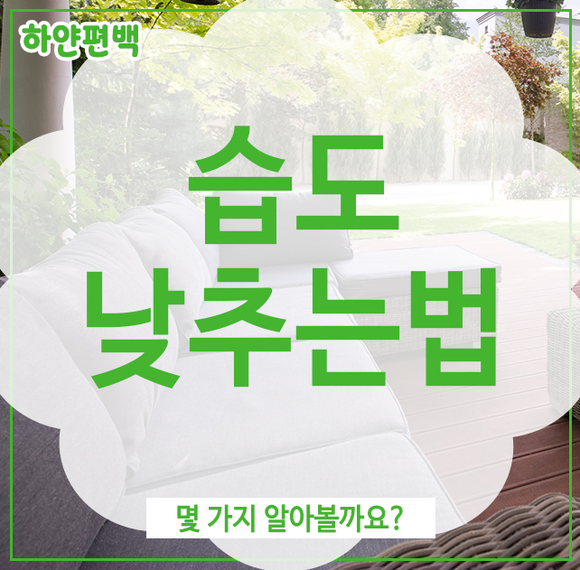  습도낮추는법, 몇 가지 알아볼까요?