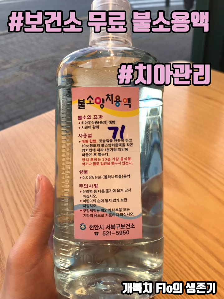  [치아관리] 무료로 치아관리 하기 #보건소 #불소용액