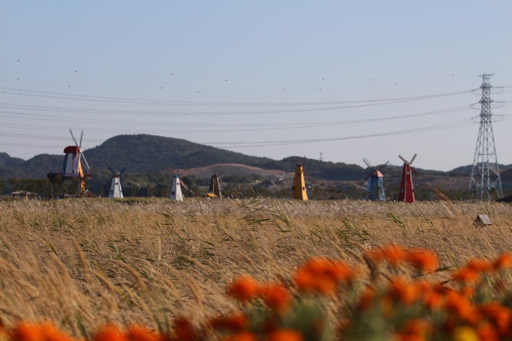  [대전 가사법 전문 변호사] 사실혼의 의의 및 사실혼 관계에 있어 재산분할청구권 등 법률 문제에 대한 검토