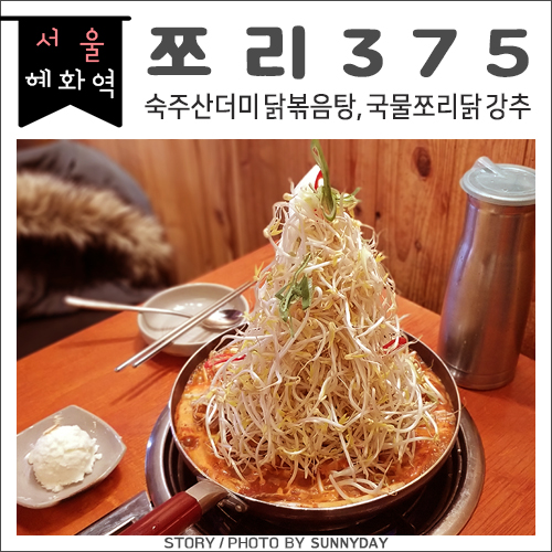  혜화 대학로 닭볶음탕 위에 필살기 숙주산더미,국물쪼리닭 강추! 혜화동 맛집 / 쪼리375