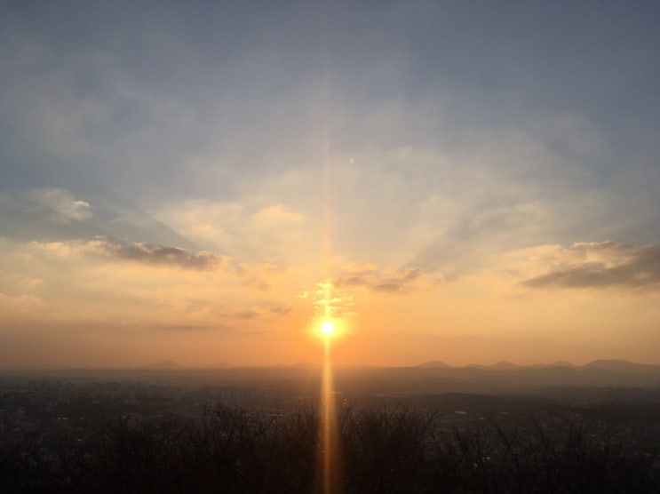  새벽수련. 의식적인 사바아사나의 필요성. 190123