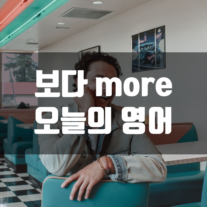  오늘의 영어 - 12편 (반려동물 유기)