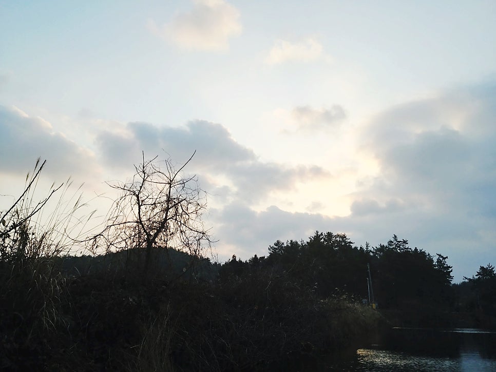 숫골 사진 2