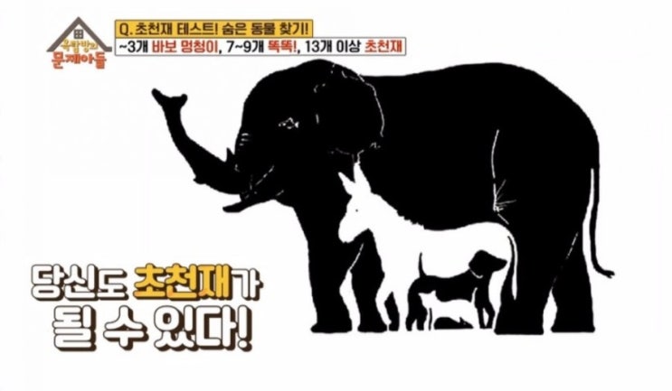  [초천재 테스트] 16마리의 동물을 찾아라! (feat. 옥탑방의  문제아들)