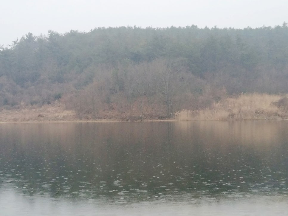 숫골 사진 5