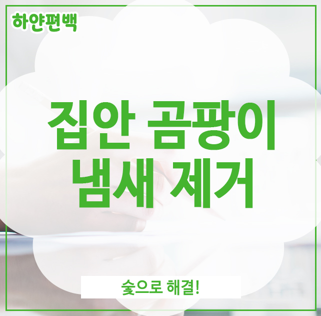  집안 곰팡이 냄새 제거, 숯으로 해결!