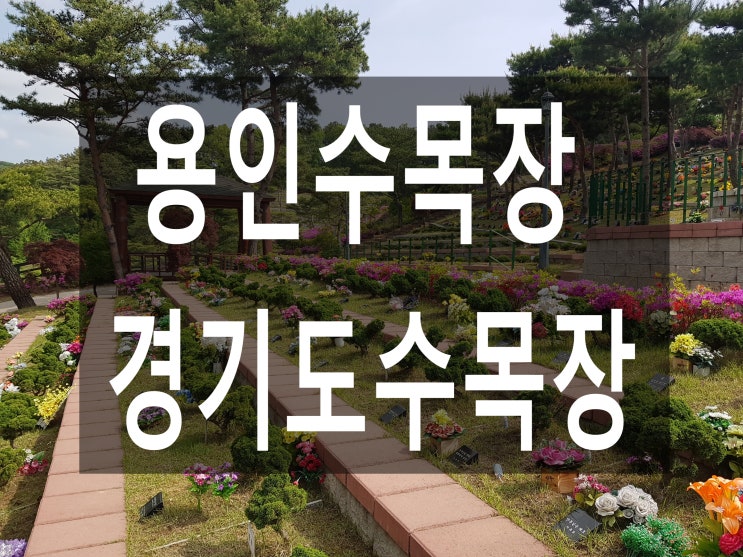  용인수목장-가격보다 중요한 환경