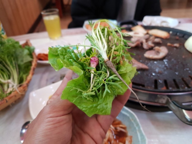 마카재배-쌈마카재배 마카재배-쌈마카재배