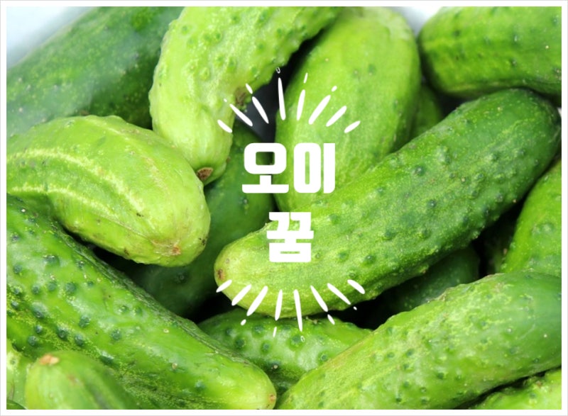 오이 꿈 해몽