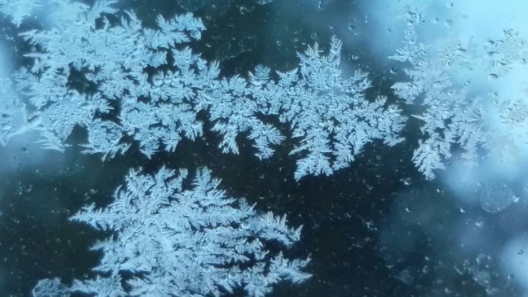  Snowflake
