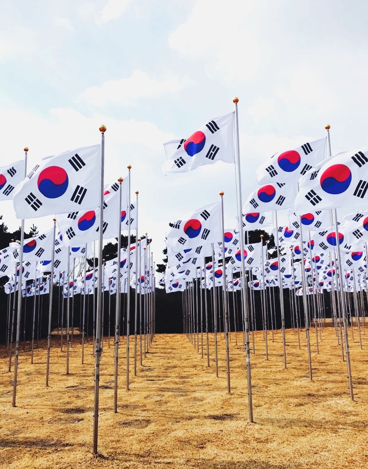  대한민국 축구대표팀 잘 싸워줘서 고마워요_한국 vs 바레인 후반전, 연장전 후기