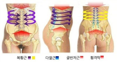  인체 사슬(Kinetic chain)에서 코어근육(Core muslce)의 중요성
