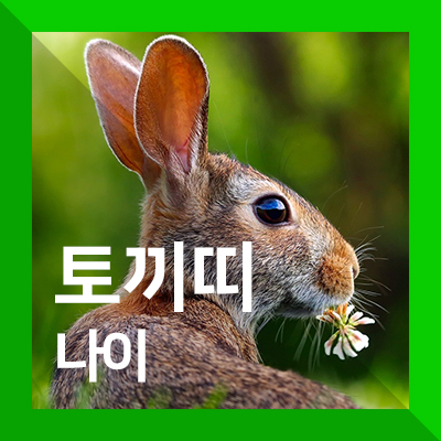  2019년 토끼띠나이 그땐 그랬지!
