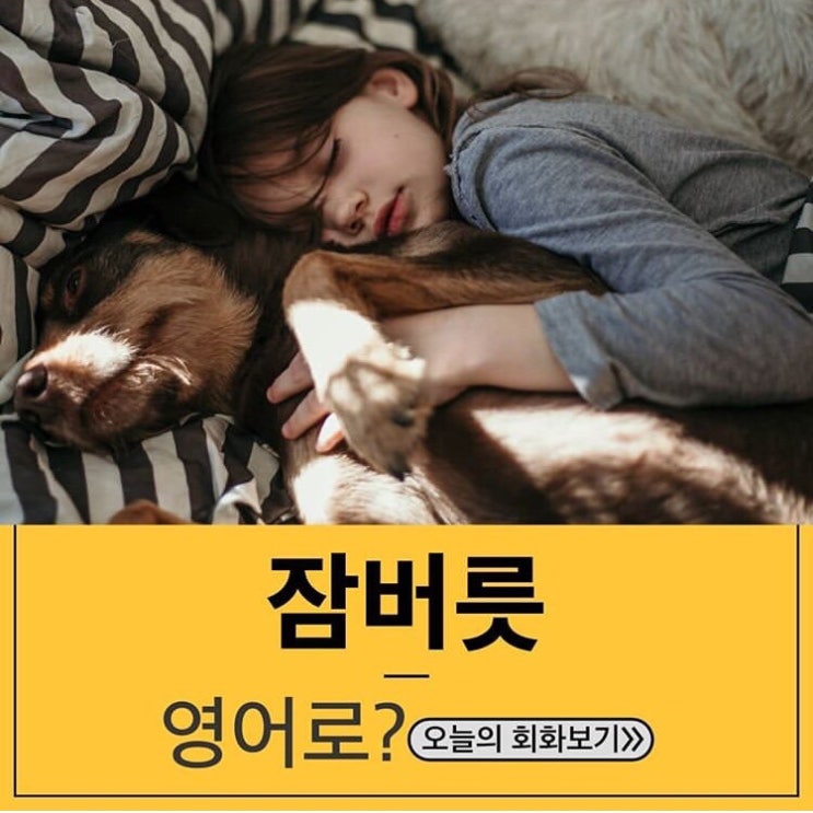  원어민 필수회화 - 잠버릇 (옆으로 누워서자다, 엎드려자다, 이를갈다, 코를골다)영어로?