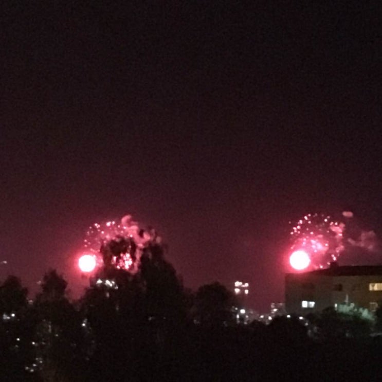  칠레가족들과 보내는 새해, 불꽃 축제