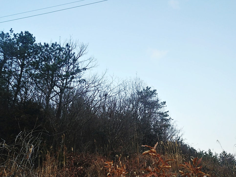 숫골 사진 1