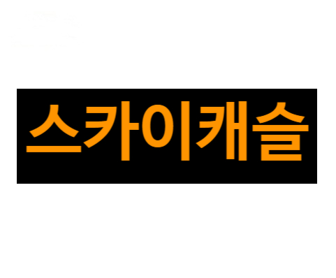  스카이캐슬의 흥행