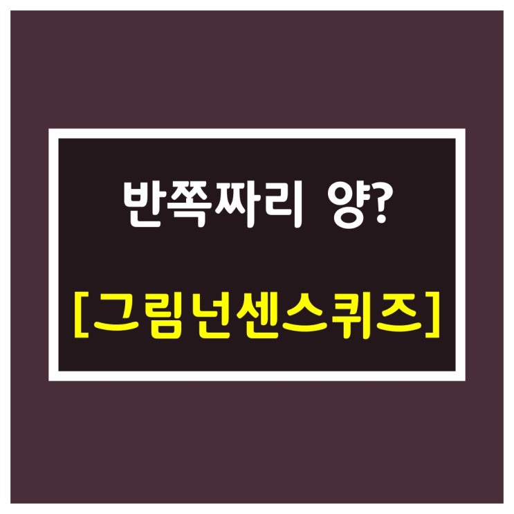  그림넌센스[반쪽짜리 양?]