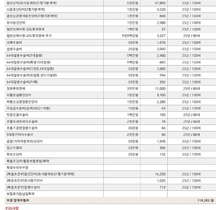  30대여자 암보험 메리츠 the좋은 알뜰한건강보험이에요.
