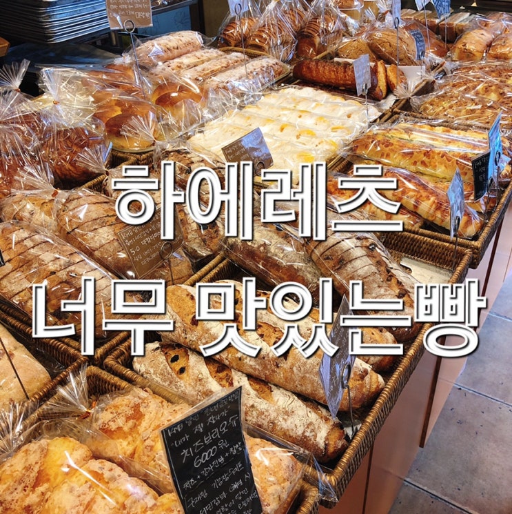  생활의달인 빵집 건강하게 생각나는맛