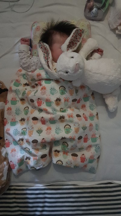  [이른둥이] 애착인형 젤리켓과 친해지기